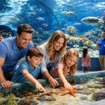 découvrez les activités familiales amusantes à l'aquarium de reims, une sortie idéale pour petits et grands pleine de découvertes et d'aventures marines.